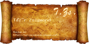 Tér Zsigmond névjegykártya